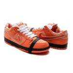 [Authorize✅]Concepts x Nike SB Dunk Low Orange Lobster for sale - Image 6