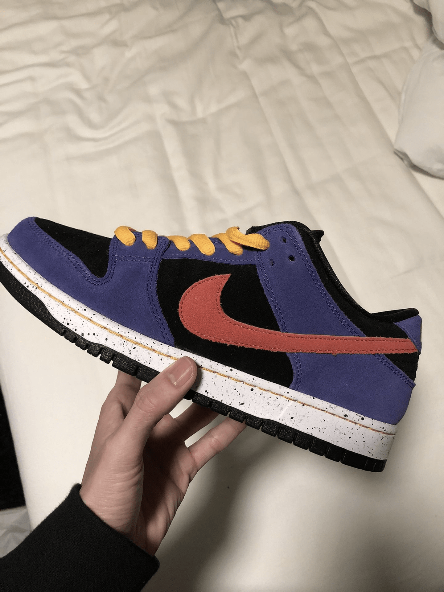 [Authorize✅]Nike Dunk Low Pro SB ACG Terra for sale photo review